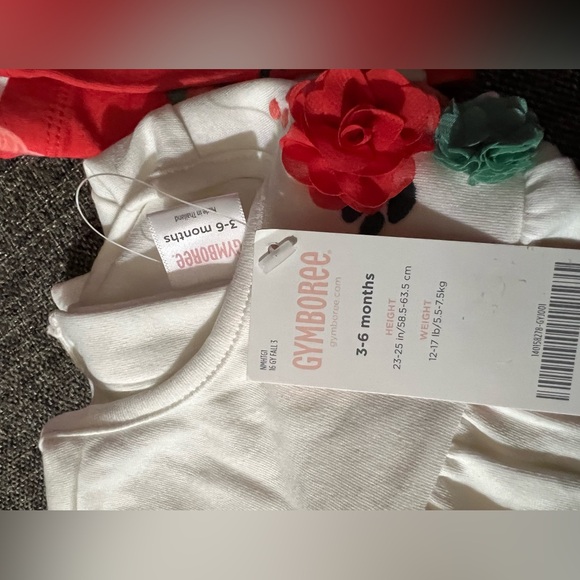 NWT Gymboree 2-piece outfit - Picture 8 of 8